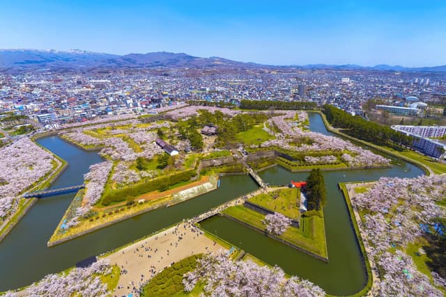 สวนสาธารณะโกเรียวคาคุ  goryokaku park