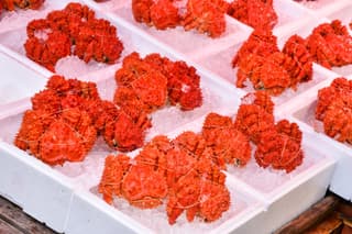 ตลาดปลานิโจ