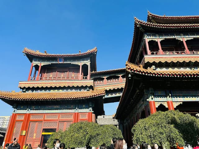 วัดลามะ (Yonghe Temple)