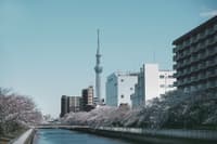 โตเกียวสกายทรี (Tokyo Sky Tree)