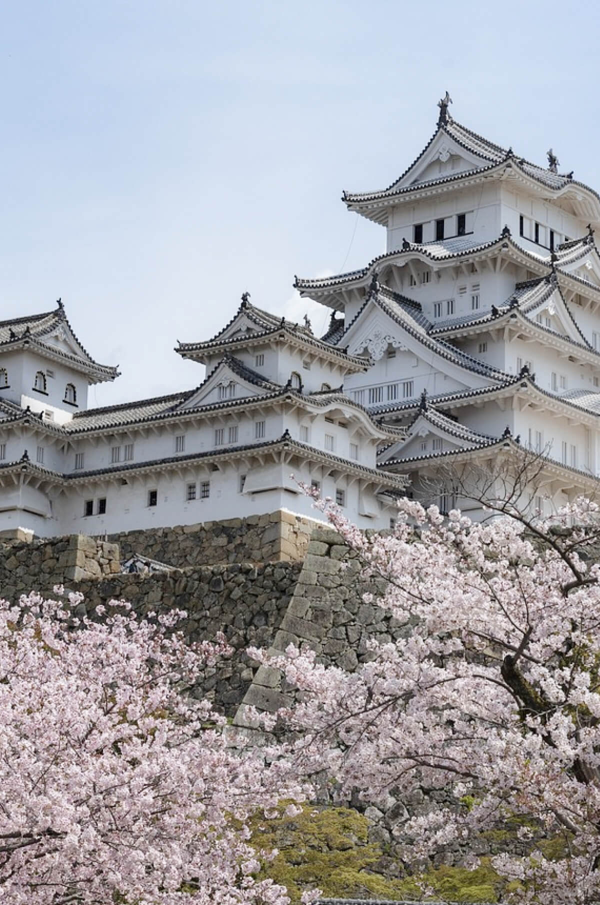 ปราสาทฮิเมจิ เฮียวโกะ